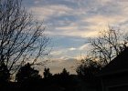 Picture 033
